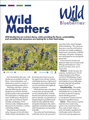201806_Wild Blueberries_Wild Matters